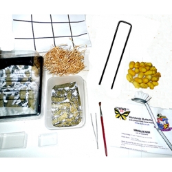 Complete MINI SILK FARM 